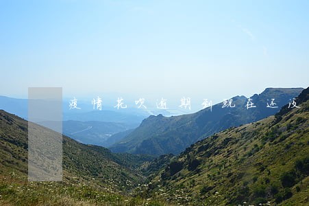 疫情花呗逾期到现在还没恢复 疫情花呗逾期到现在还没恢复