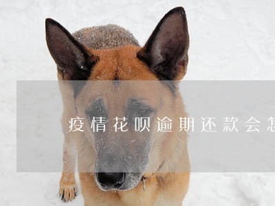疫情花呗逾期还款会怎样 疫情花呗逾期还款会怎样