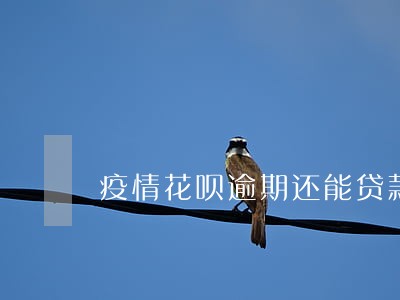 疫情花呗逾期还能贷款吗 疫情花呗逾期还能贷款吗