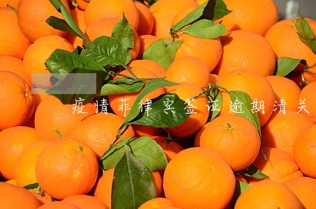 疫情菲律宾签证逾期清关 疫情菲律宾签证逾期清关