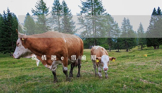 疫情融e借逾期 疫情融e借逾期