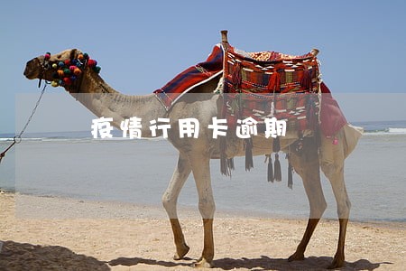 疫情行用卡逾期 疫情行用卡逾期