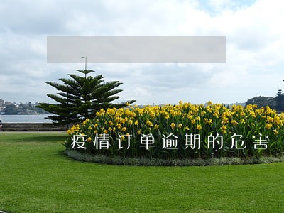 疫情订单逾期的危害 疫情订单逾期的危害