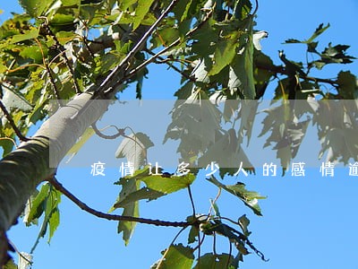 疫情让多少人的感情逾期 疫情让多少人的感情逾期