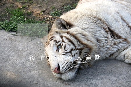 疫情让很多人逾期 疫情让很多人逾期