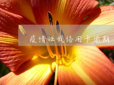 疫情让我信用卡逾期 疫情让我信用卡逾期
