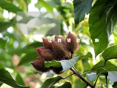 疫情让我贷款逾期 疫情让我贷款逾期