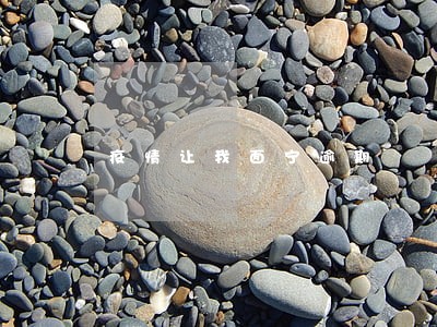 疫情让我面宁逾期 疫情让我面宁逾期