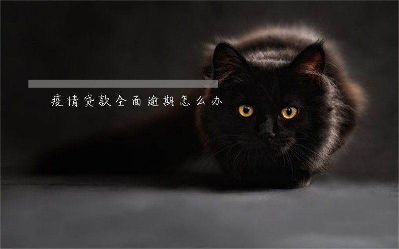 疫情贷款全面逾期怎么办 疫情贷款全面逾期怎么办