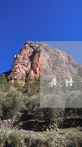 疫情贷款出现逾期 疫情贷款出现逾期