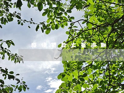 疫情贷款大量逾期 疫情贷款大量逾期