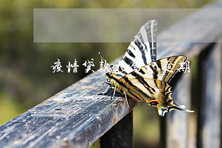 疫情贷款大面积逾期 疫情贷款大面积逾期