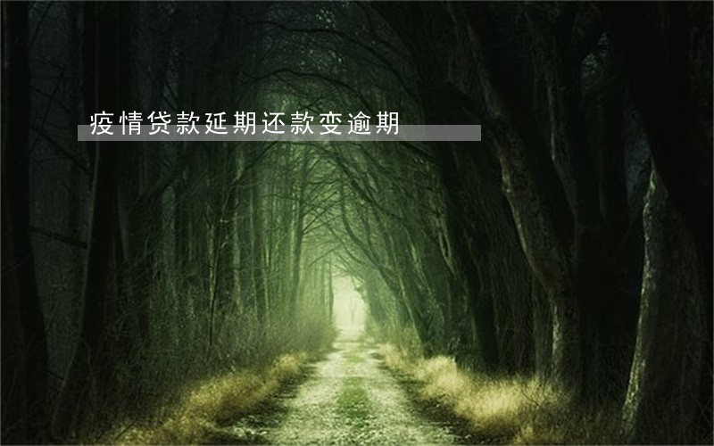 疫情贷款延期还款变逾期 疫情贷款延期还款变逾期