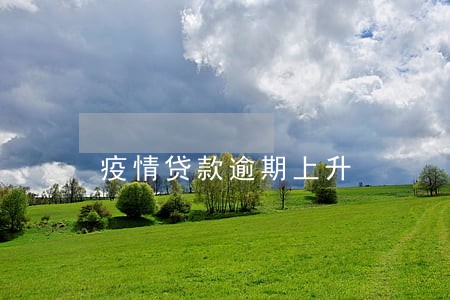 疫情贷款逾期上升 疫情贷款逾期上升
