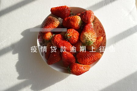 疫情贷款逾期上征信 疫情贷款逾期上征信