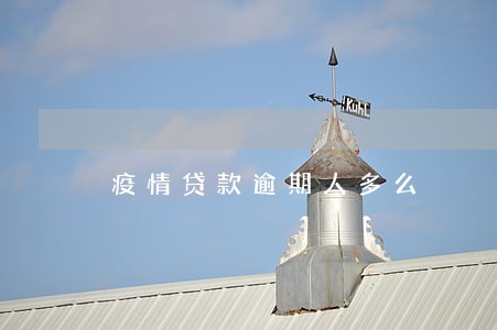 疫情贷款逾期人多么 疫情贷款逾期人多么