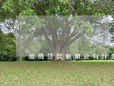 疫情贷款逾期会有什么后果 疫情贷款逾期会有什么后果