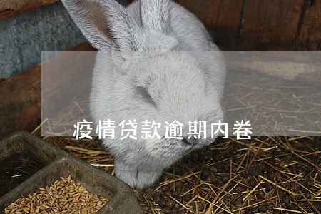 疫情贷款逾期内卷 疫情贷款逾期内卷