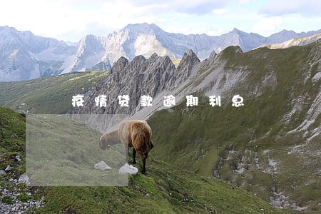 疫情贷款逾期利息 疫情贷款逾期利息