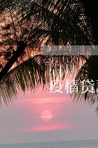 疫情贷款逾期后还不上 疫情贷款逾期后还不上