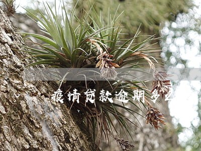 疫情贷款逾期多么 疫情贷款逾期多么