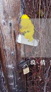疫情贷款逾期怎么办 疫情贷款逾期怎么办