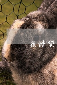 疫情贷款逾期真证明 疫情贷款逾期真证明