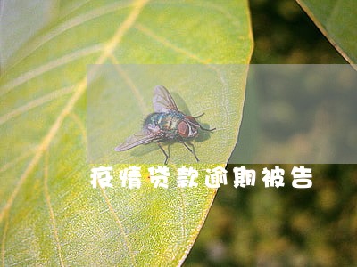 疫情贷款逾期被告 疫情贷款逾期被告