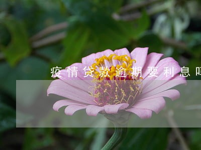 疫情贷款逾期要利息吗 疫情贷款逾期要利息吗
