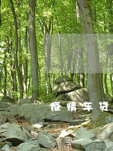 疫情车贷要逾期了 疫情车贷要逾期了