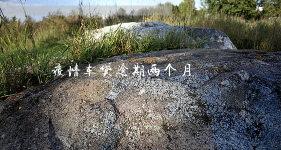 疫情车贷逾期两个月 疫情车贷逾期两个月