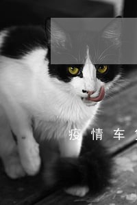 疫情车贷逾期后果 疫情车贷逾期后果