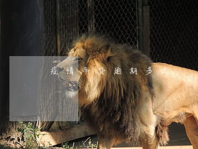 疫情车贷逾期多久