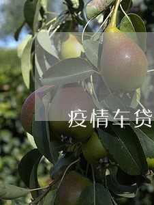 疫情车贷逾期多久会被扣车 疫情车贷逾期多久会被扣车