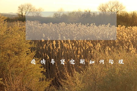 疫情车贷逾期如何处理 疫情车贷逾期如何处理