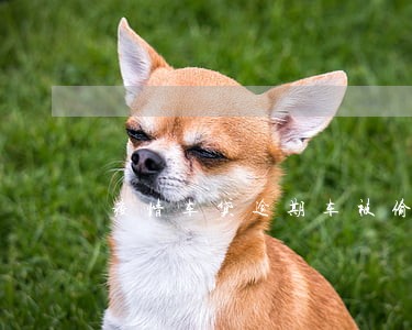 疫情车贷逾期车被偷 疫情车贷逾期车被偷