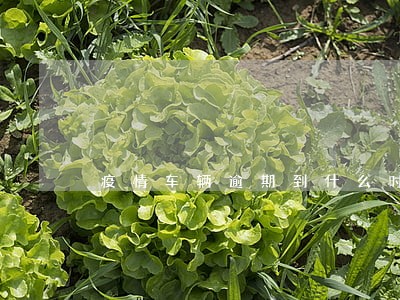 疫情车辆逾期到什么时间 疫情车辆逾期到什么时间