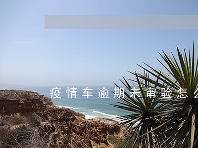 疫情车逾期未审验怎么处理 疫情车逾期未审验怎么处理