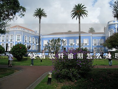 疫情软件逾期怎么处理 疫情软件逾期怎么处理