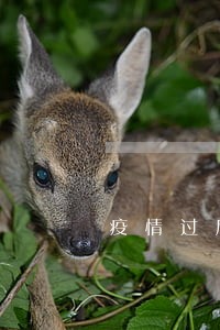 疫情过后买房逾期咋办 疫情过后买房逾期咋办