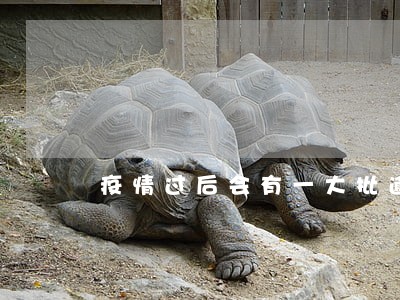 疫情过后会有一大批逾期 疫情过后会有一大批逾期