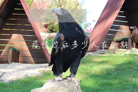 疫情过后多少人在逾期 疫情过后多少人在逾期