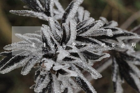 疫情过后多少人网贷逾期