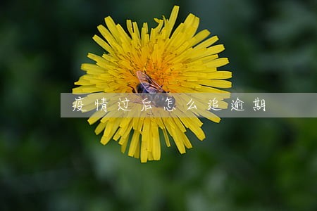 疫情过后怎么追逾期 疫情过后怎么追逾期