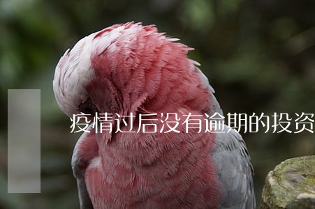 疫情过后没有逾期的投资者 疫情过后没有逾期的投资者