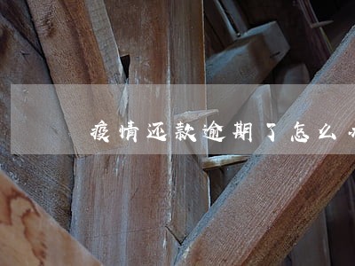 疫情还款逾期了怎么办