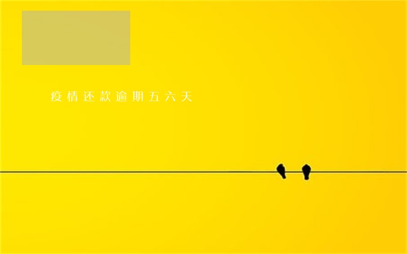 疫情还款逾期五六天