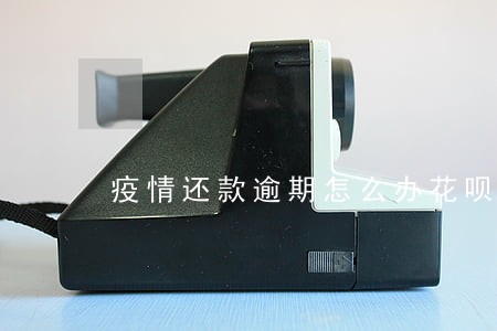 疫情还款逾期怎么办花呗 疫情还款逾期怎么办花呗