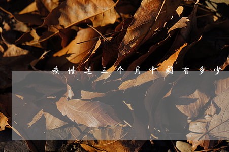 疫情这三个月中国有多少逾期