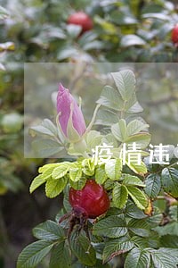 疫情违法打击工作建议 疫情违法打击工作建议